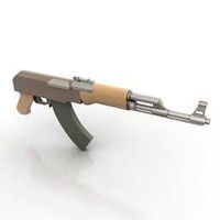 Gun