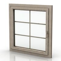 Window
