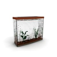 Aquarium