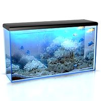 Aquarium