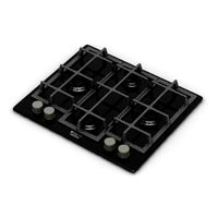 Gas stove