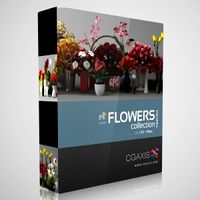 3D Model Volume 6 Flowers LXO