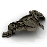Veil