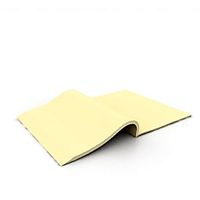 Journal