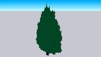 2D Medora Juniper Shrub