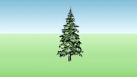 WINTER TREE ITALY PINE ABETE- SNOW PINE SILHOUETTE TYPE FACE ME