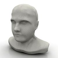 Bust