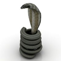 Snake Cobra Pose 5 ~ 3D Model ~ Download #89226688