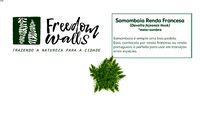 SAMAMBAIA RENDA FRANCESA - FREEDOM WALLS