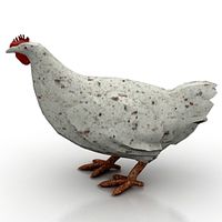 Chicken