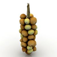 Onion