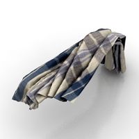 Napkin
