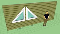 Triangle Windows