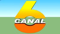 Canal 6 HN logo