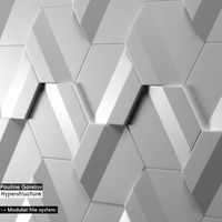 Modular tile system Pauline Gorelov Hyperstructure 3D Model