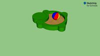 Turtle Sandbox