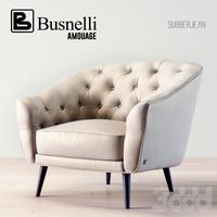 Busnelli Amouage Armchair