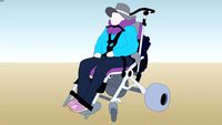 Adaptive Beach Stroller Entourage
