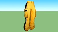 gelb schwarze hose