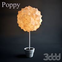 Poppy