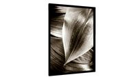 Quadro folhas sepia - Galeria9, por edmoraes