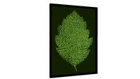 Quadro Leafprint - Galeria9, por PIPPI