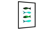 Quadro Peixes - Galeria9, por Abras