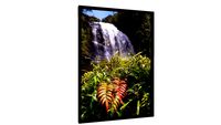 Quadro Cachoeira Secreta - Galeria9, por Amanda Vieira