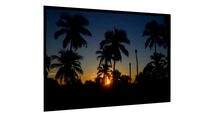 Quadro Pôr-do-sol entre coqueiros - Galeria9, por Tassiana Rovai
