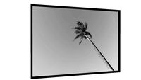 Quadro COQUEIRO REAL - Galeria9, por Fagner Martins
