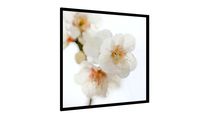 Quadro PLUM BLOSSOMS - Galeria9, por ERICA SATIE DANTAS KOGISO
