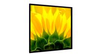 Quadro SUNFLOWER - Galeria9, por ERICA SATIE DANTAS KOGISO