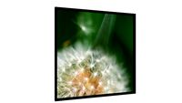 Quadro dandelion - Galeria9, por ERICA SATIE DANTAS KOGISO