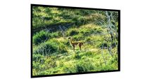 Quadro Guanaco - Galeria9, por Lucas Mann