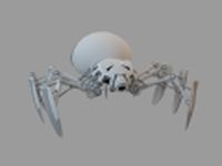 Spider 3D Model