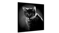 Quadro cat - Galeria9, por A L Pires