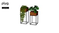 SUPORTE BOTÂNICO OÁSIS PLUG DESIGN VASO COSTELA DE ADÃO E JIBÓIA