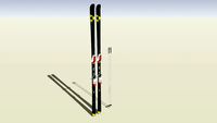 Skis ski sci Fischer RC4 Worldcup GS
