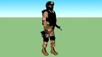 soldado de semar de mexico