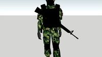soldado de semar de mexico