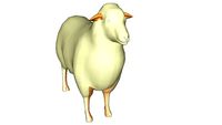 Sheep - Ewe