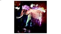 37812 Picture Glas The Elefant by Mayk Azzato 85x85cm (Bild Glas The Elefant by Mayk Azzato 85x85cm)