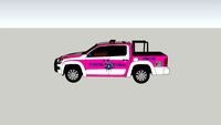 patrulla de la policia municipal de tonala jalisco
