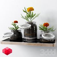 Tree Glass