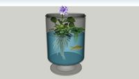 Aquarium vase with water lettuce, water hyacinth and fish