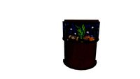 Freshwater Bowfront Aquarium with Wood Stand