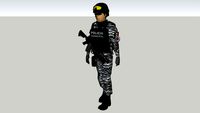 policia municipal de guadalajara jalisco