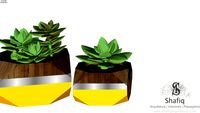 Vaso de Suculentas 02