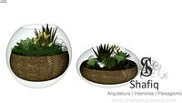 Vaso de Suculentas 01
