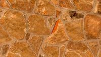Buechel Stone Castano Suede Fieldstone - Architectural Thin Veneer Stone and Full Stone Veneer Masonry 6x6
